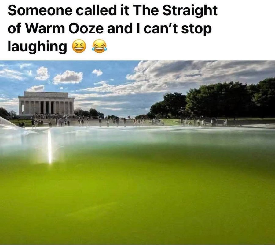 1782298870390.jpeg