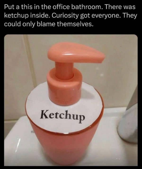 1782333234464.jpeg