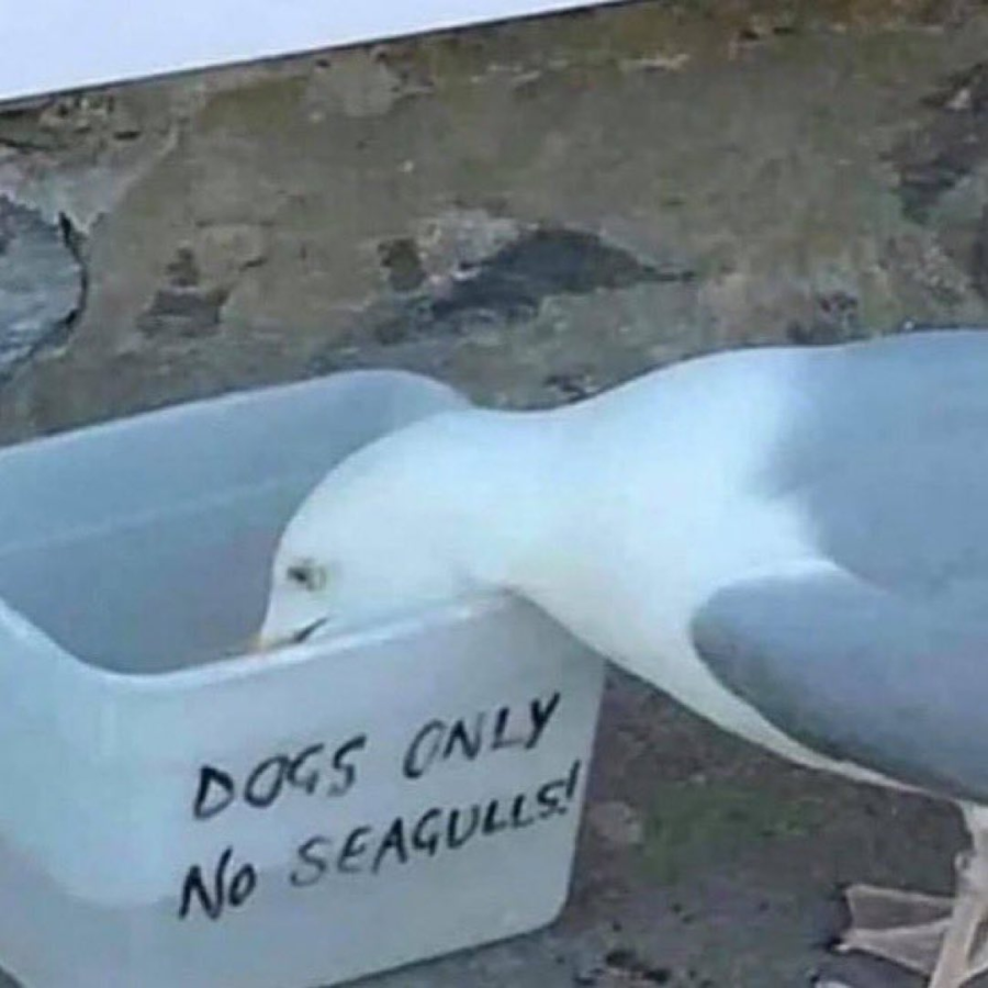 1782551383091.png
