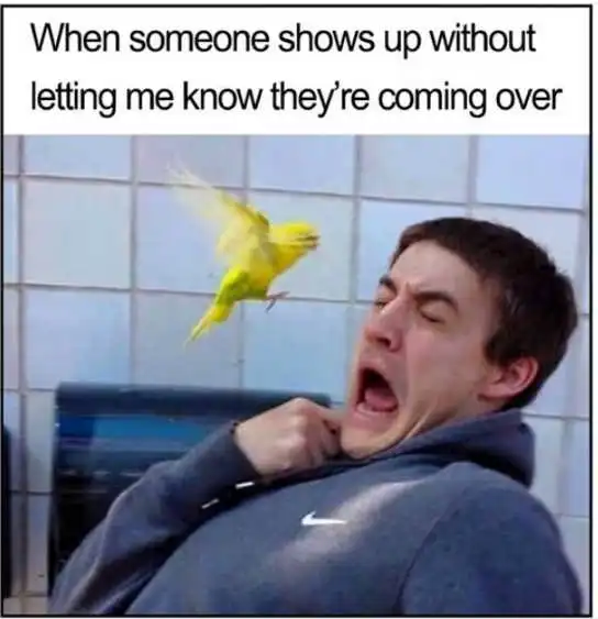 1782589825033.png