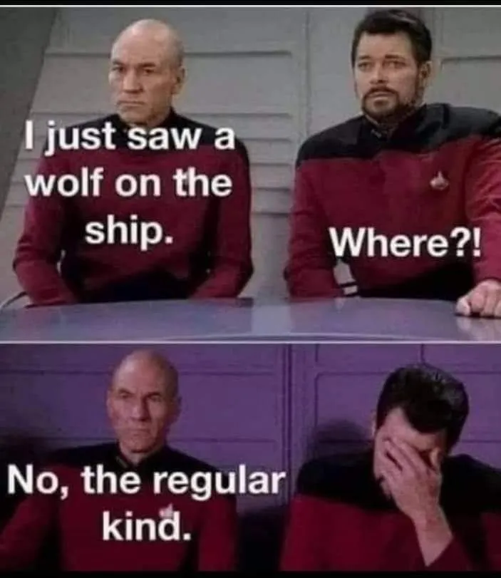 1782996181739.png