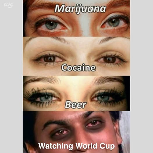 1783337535289.png