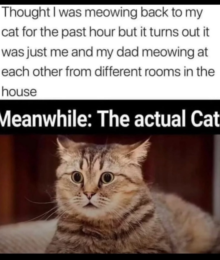 1783612133539.jpeg