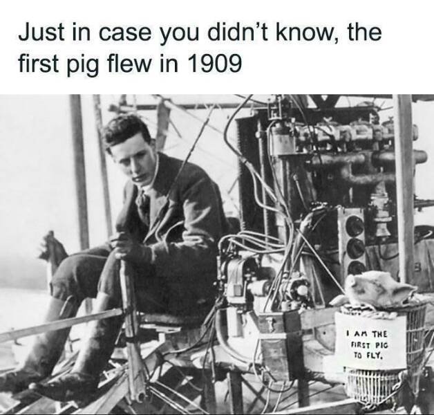 1783612303393.jpeg