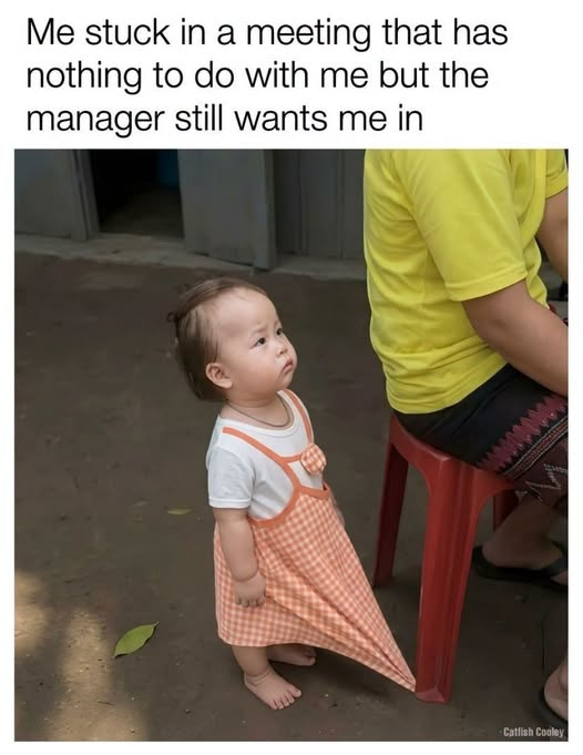 1784019155402.png