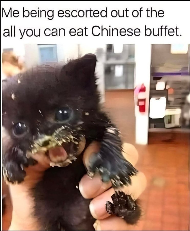 1784125702352.jpeg