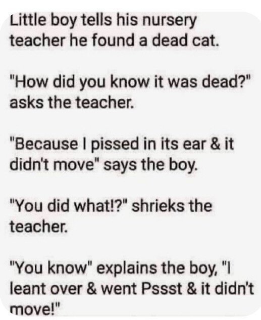 1784494229485.jpeg