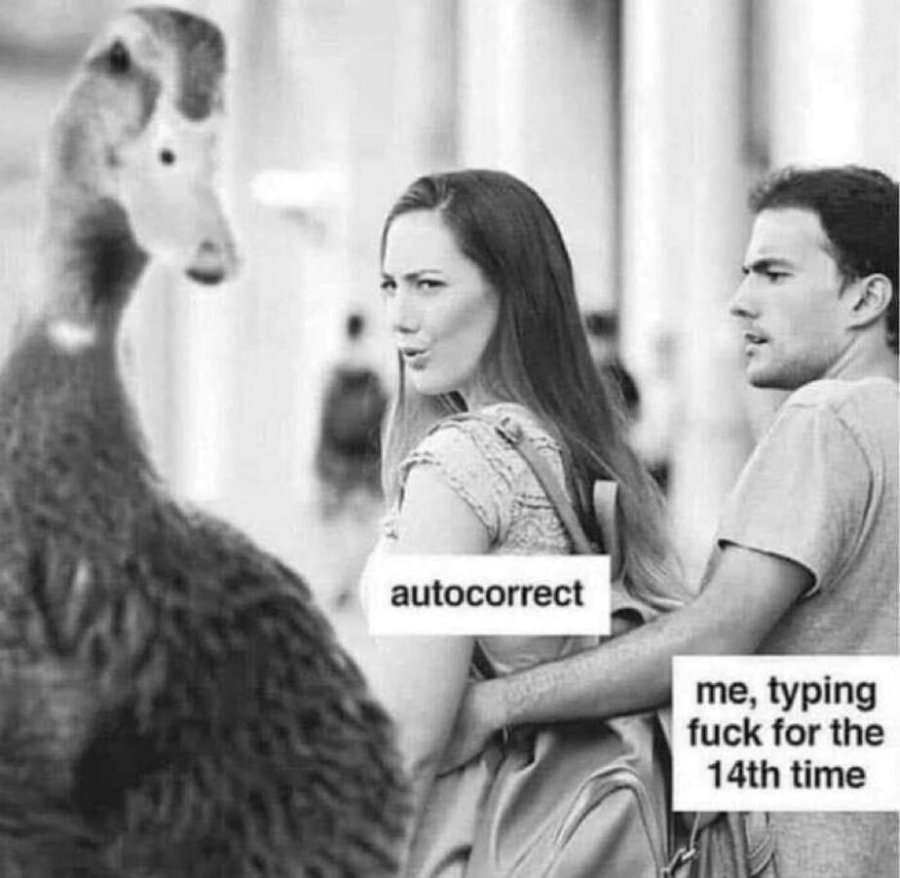1784585020662.jpeg