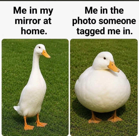 1784843698327.png