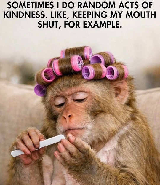 1786033430972.png