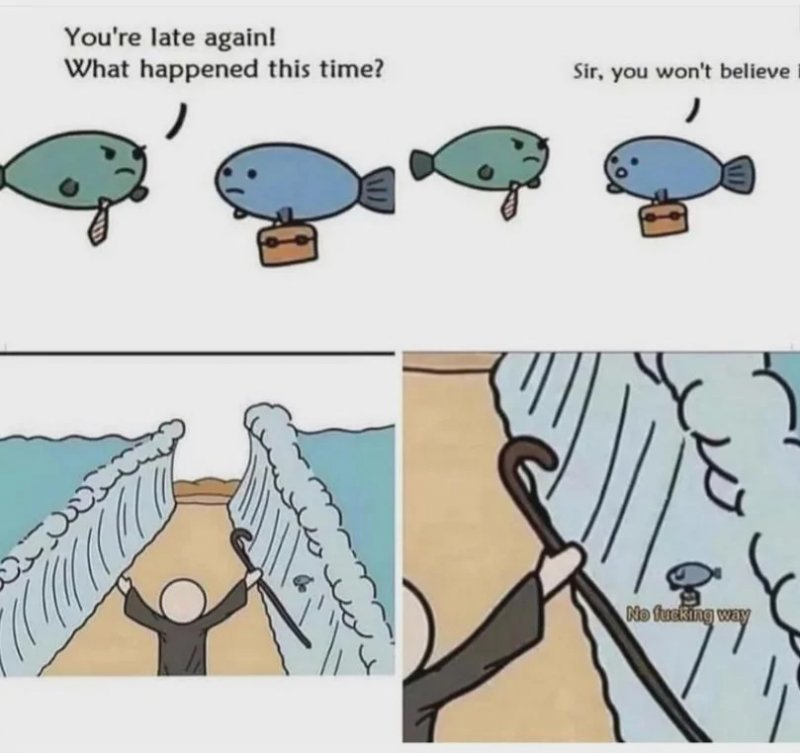 1786040829260.jpeg