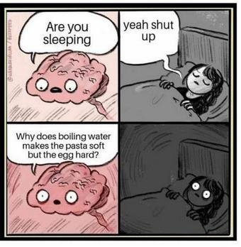 1786300430798.jpeg