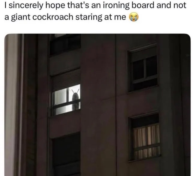 1786445263156.jpeg