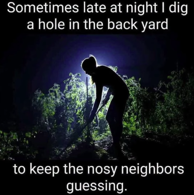 1787075900869.png