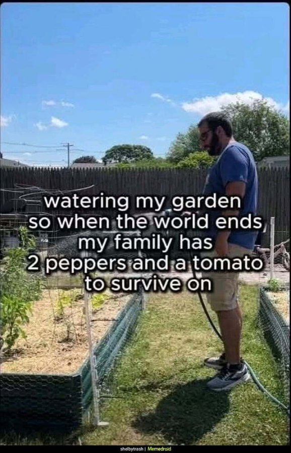1787166687107.jpeg