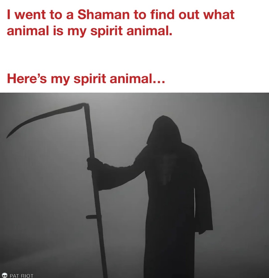 1788007340461.jpeg