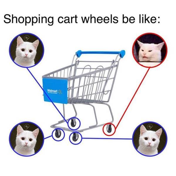1789033768024.jpeg