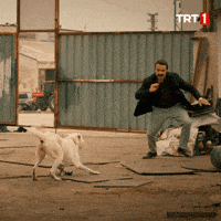 200w (25).gif