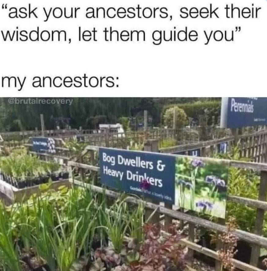232452.jpg