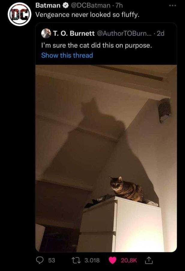 2EBA2982-23B4-400A-B82E-2AF435909280.jpeg