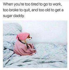 2fc0e333aedc94e52afbbcae4550c5aa.jpg