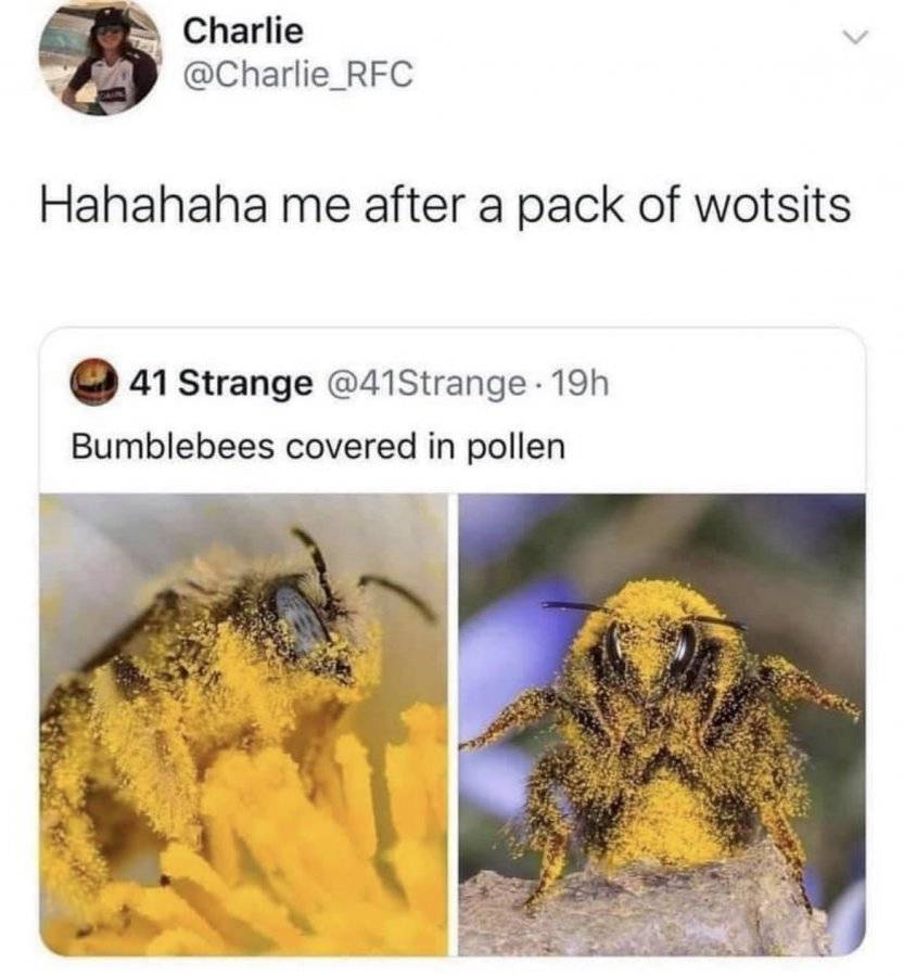 3B7D0069-BB6C-4BAA-A659-3EA966D98E2D.jpeg