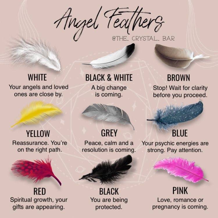 What Does A White Feather Mean? White Feather Spiritual Meaning 