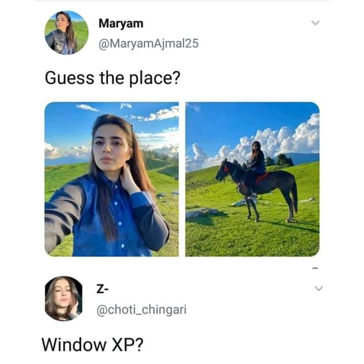 402.jpg