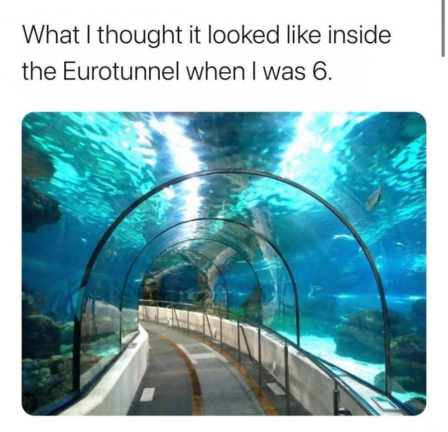 407C5DF8-DFFC-4105-86EE-7251C79C3E66.jpeg