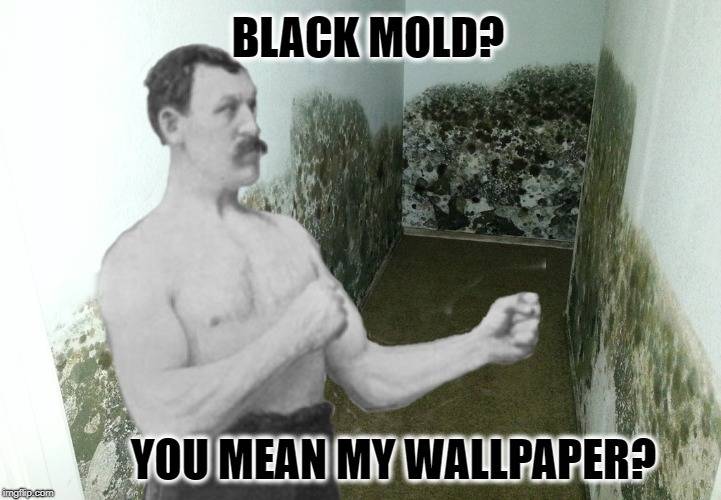 458D92E3-49C8-45B4-A1EC-C7E8BEB5E096.jpeg