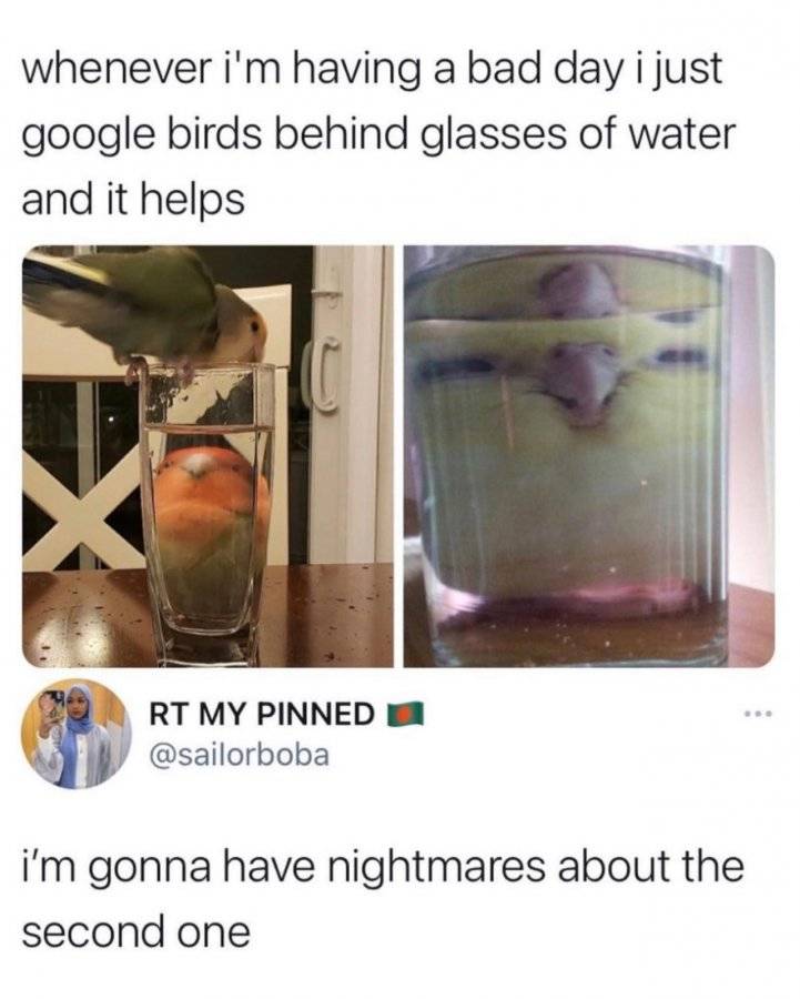 52C88F35-6EA1-4DDE-8AAA-03AA66C4234A.jpeg