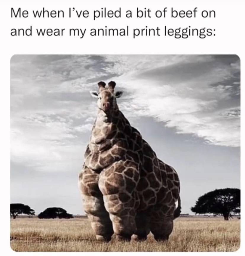 5BAB4F40-C5F2-46D9-B5E6-4BF22E0FEC04.jpeg