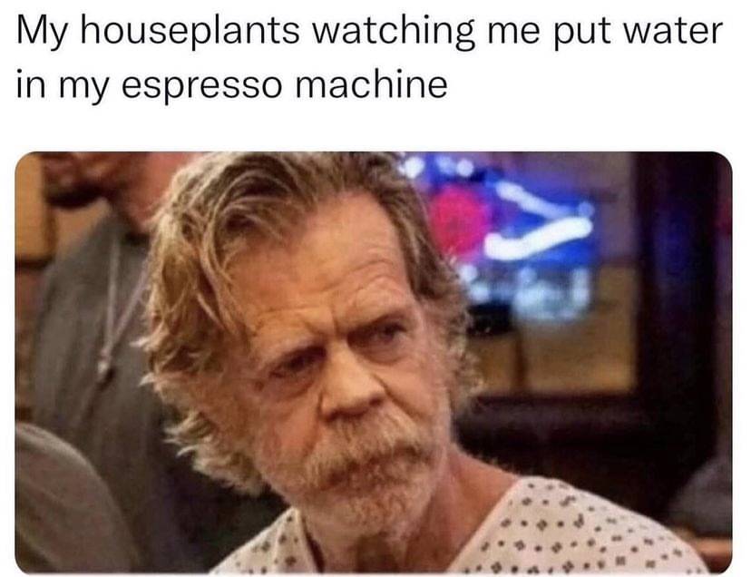 5C24B1F4-E4EA-4B4E-A5D6-E294C6BB42E3.jpeg