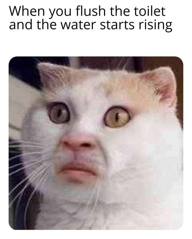 5d653fc50af09.jpeg