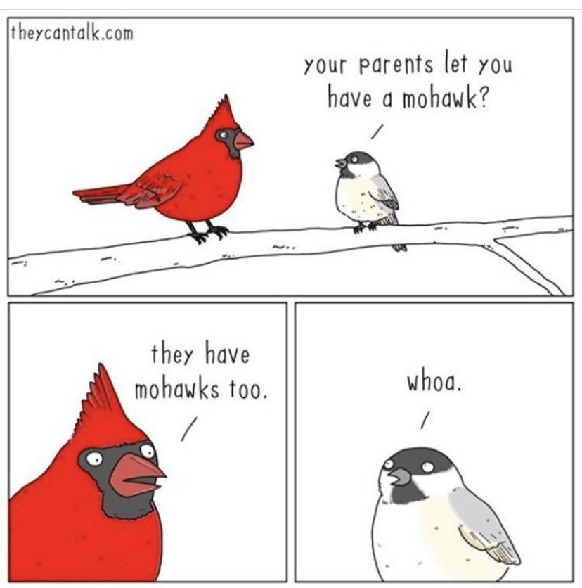 649EA4BF-E8CE-4391-A00A-A59940EAAC7C.jpeg