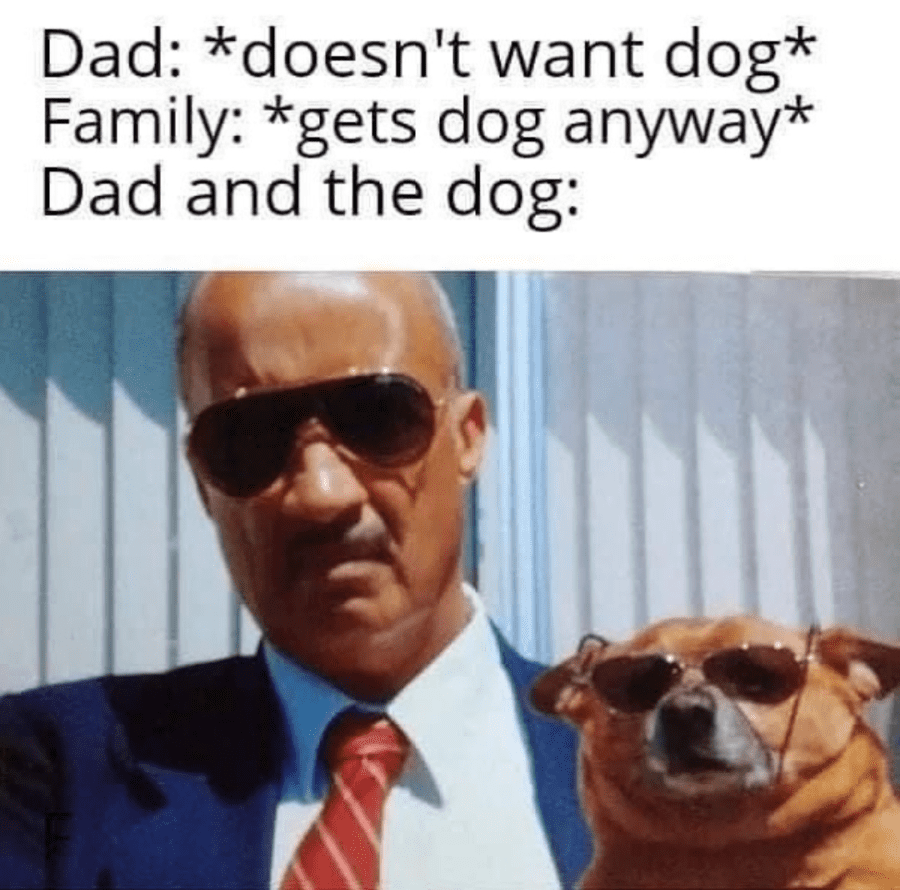 683f7eb.png