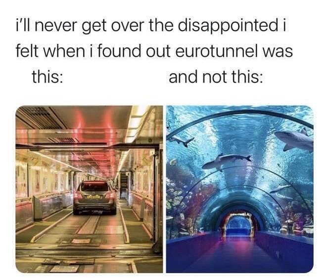7F63F3F6-0E49-4EEC-8E71-96C8086F6E11.jpeg