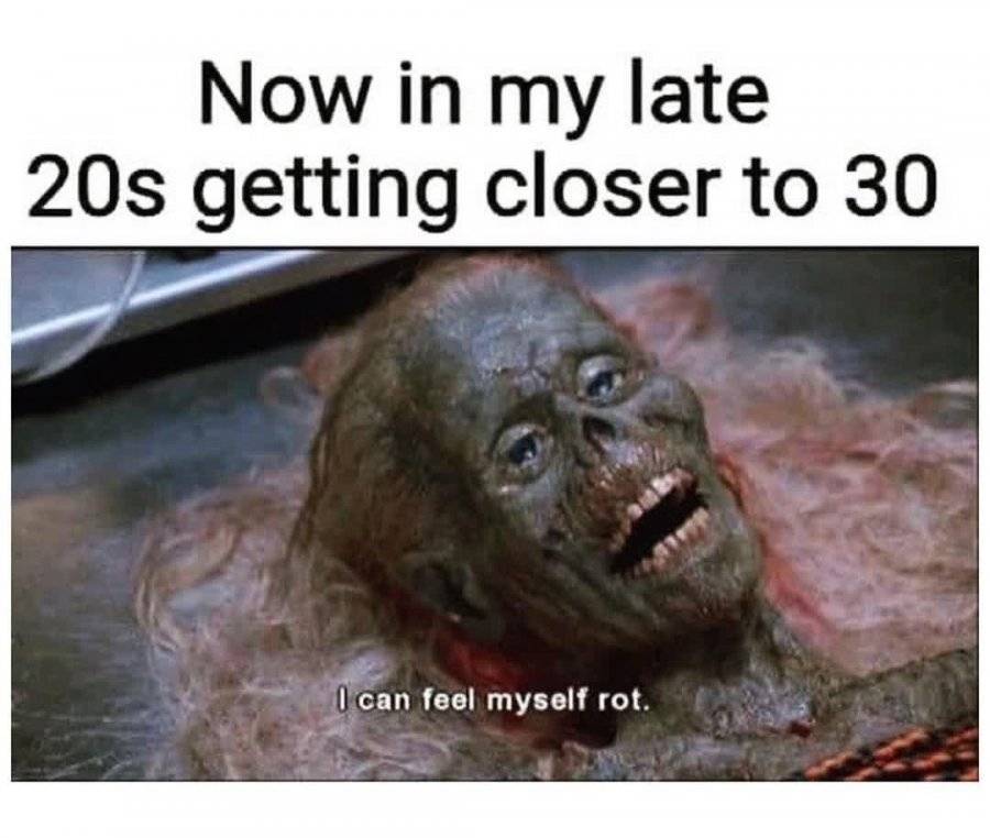 80F74842-63E4-45EA-B3C9-7288AA0A8B46.jpeg