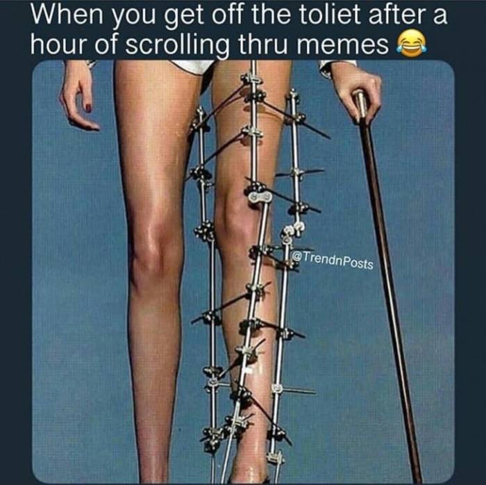 85544761.jpg