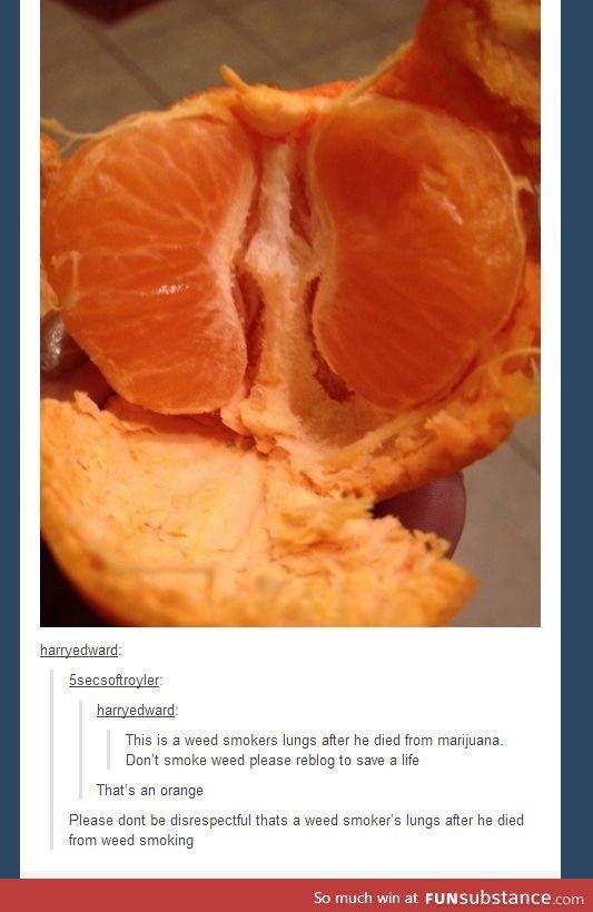 8846BEF1-DF20-4CDC-9E50-1E82DD01DE7C.jpeg