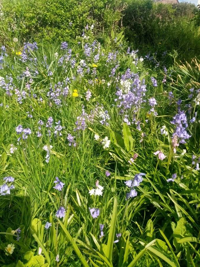 8AD4D5DD-22C0-4F74-B29D-E71F50986F48.jpeg