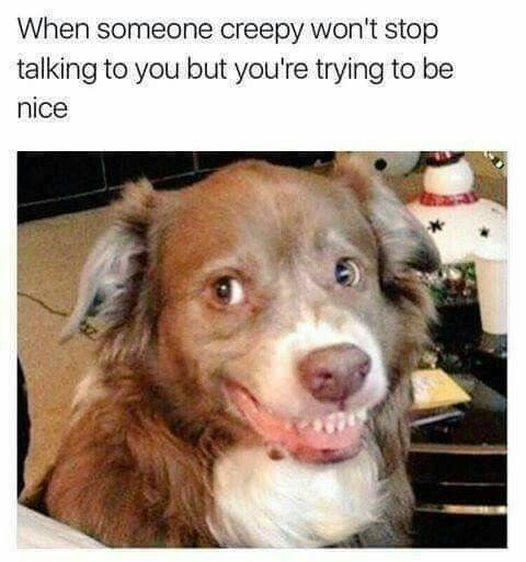 8e85f9c2559555c0151c94de22a8da31.jpg