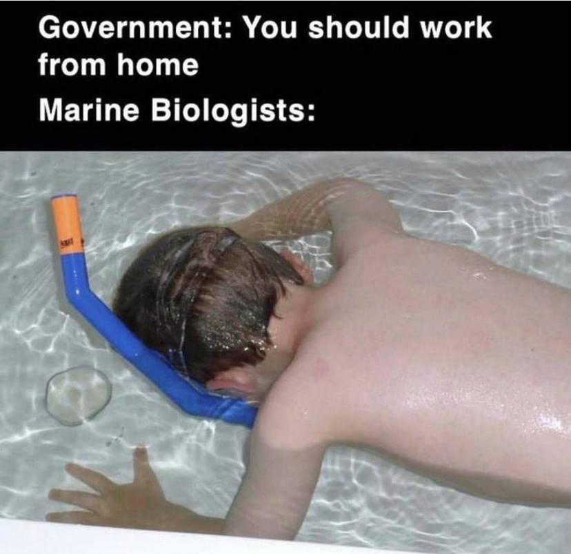 93904E8F-2D64-4823-AC16-EB331E4884A5.jpeg