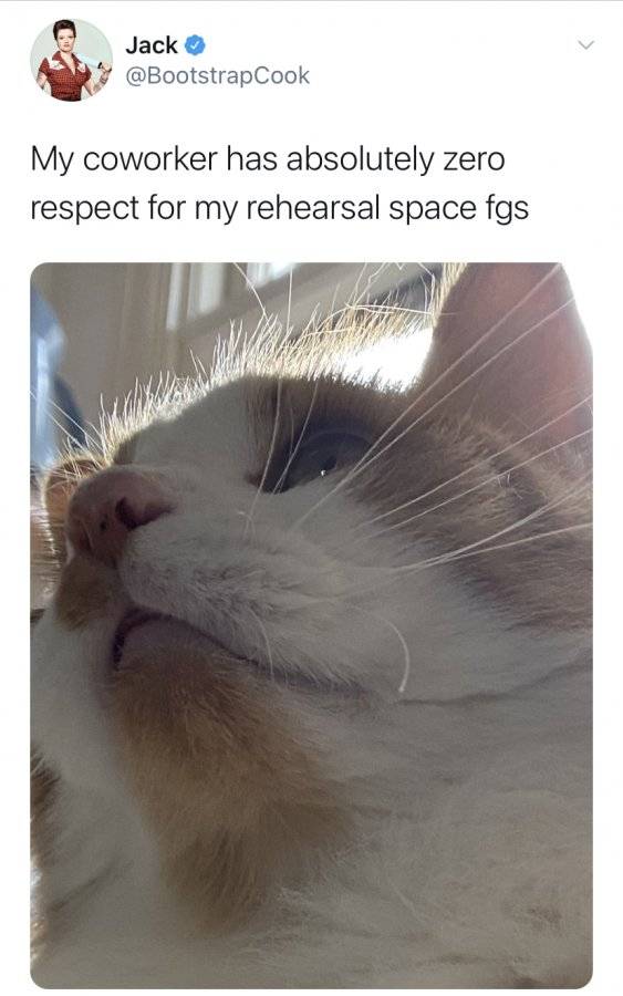 9835E3E7-2115-4FDF-8F6B-D9BDC0EF7FE4.jpeg