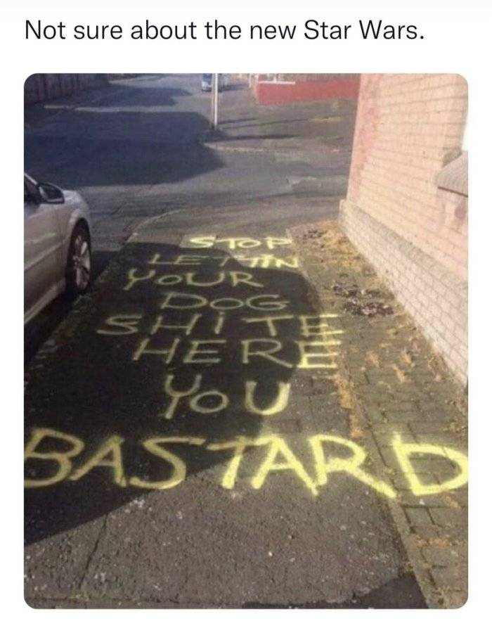 9AE40A38-3C28-4E3D-AF85-BFD7EF141C3A.jpeg