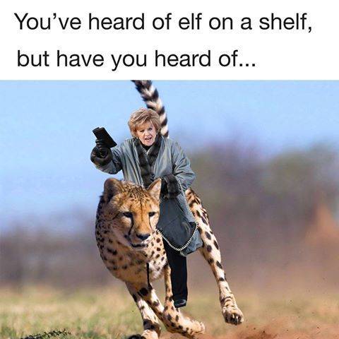 9E348D4E-9ECF-404B-8CC0-DB17FBDA4C4D.jpeg