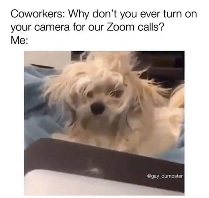 a0382c238d9ecd05df0b32bcf991baaa.jpg