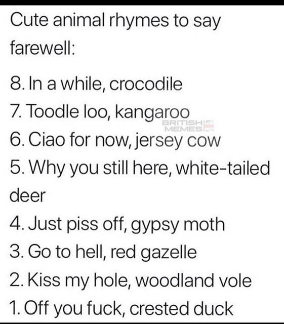 A50EA70C-E740-4722-B99C-991F8572DDCE.jpeg