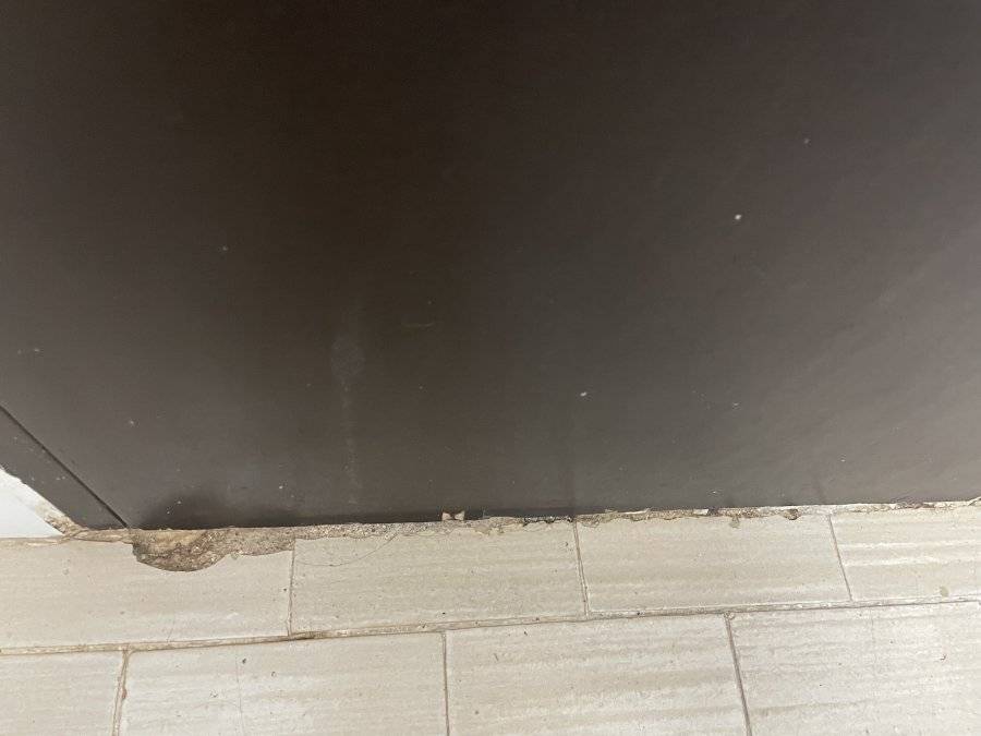 A85226D0-BEA6-4E5F-80EB-01D348CFC8AD.jpeg