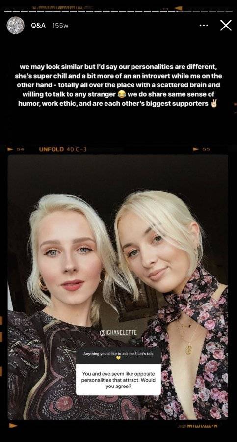 ai.jpg